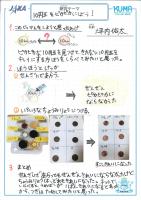 2019ishikawa28.jpg